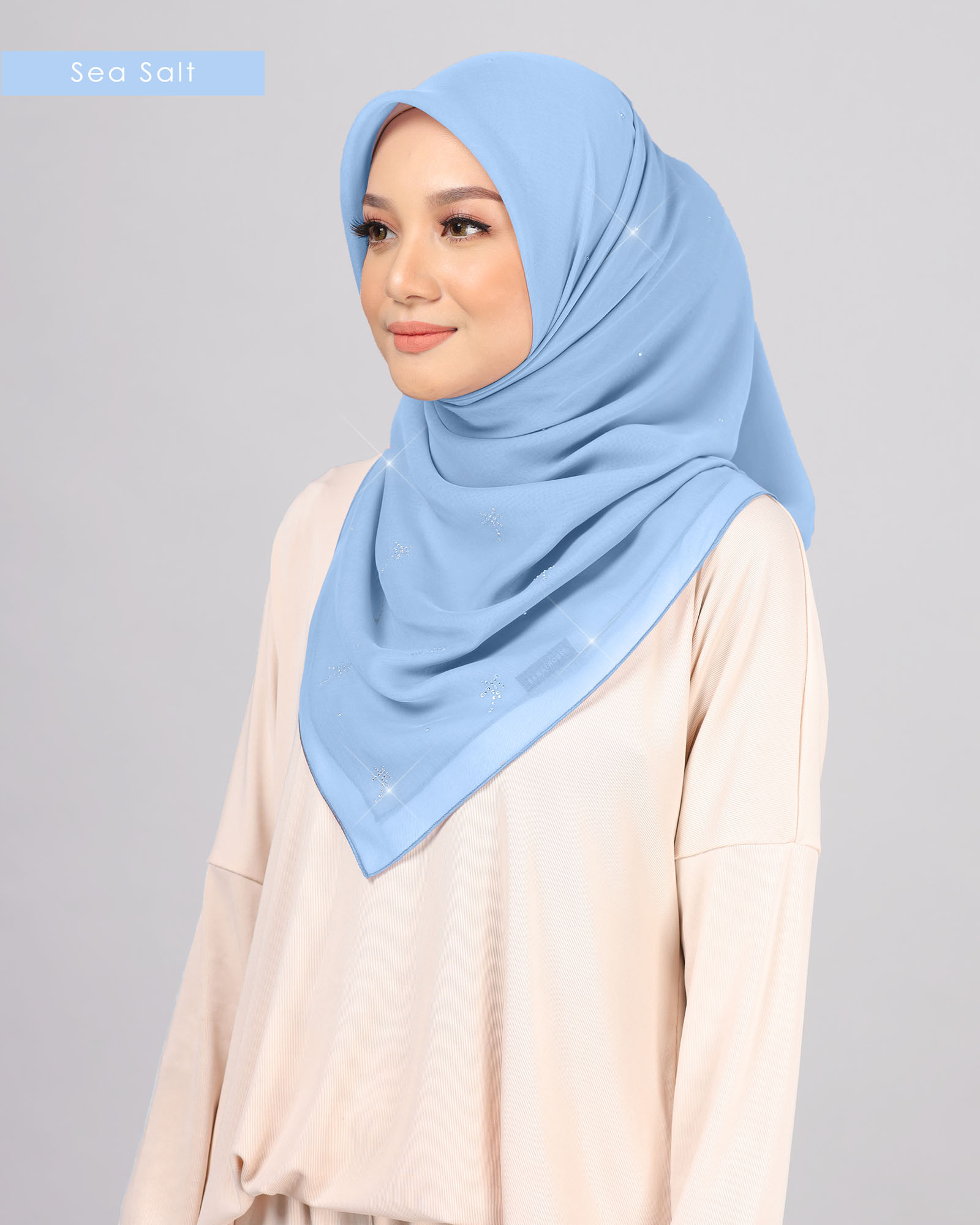 Bawal Halwa BH40 ( Sea Salt ) - Image 3