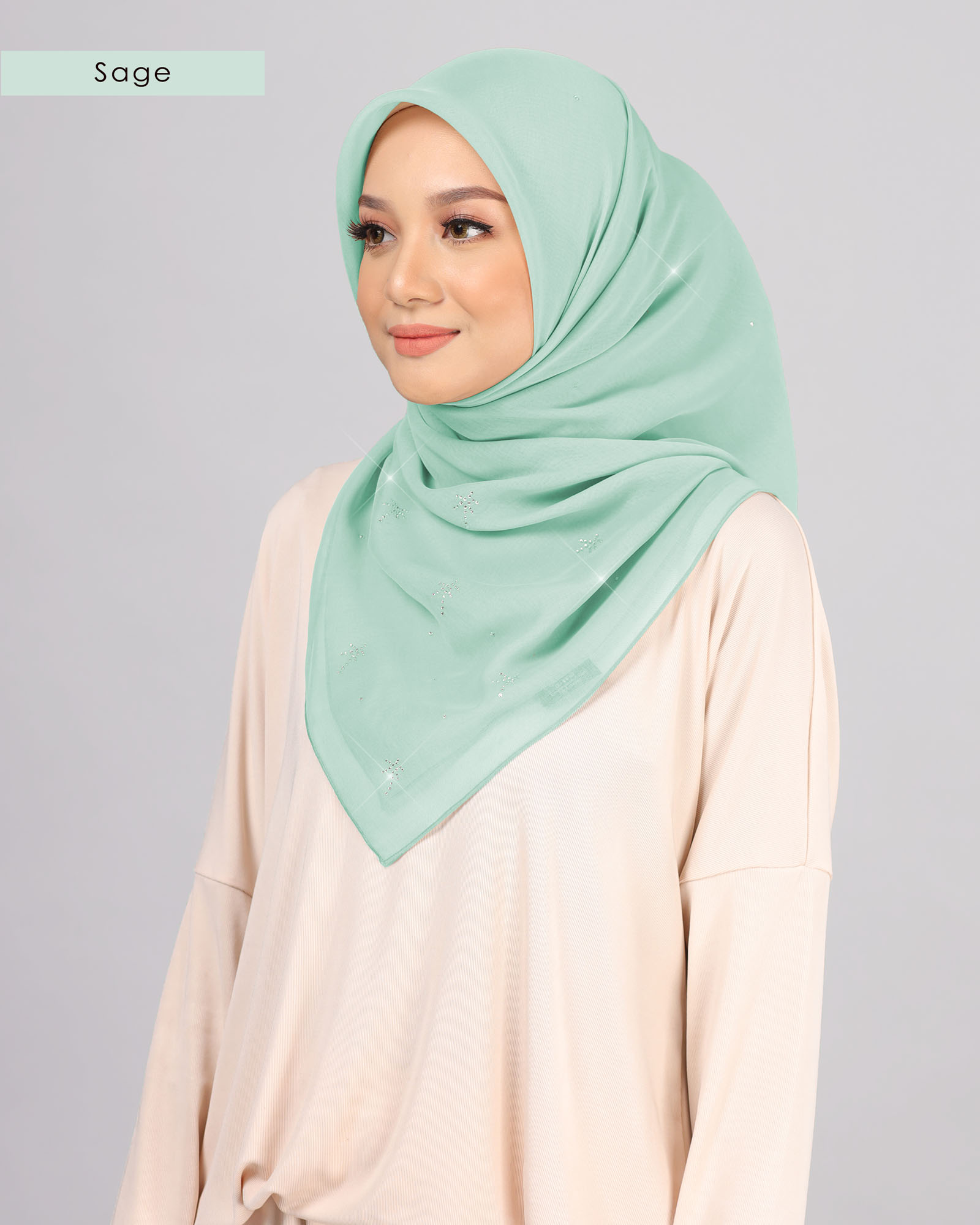 Bawal Halwa BH72 ( Sage ) - Image 3