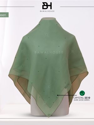 Delia Color BH84 (Pickle Green)