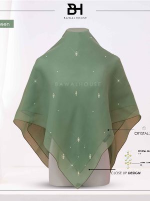 Bawal Qameela Luxe BH49 (Pickle Green)