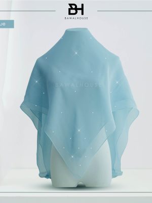 Delia Tabur BH39 (Aqua Blue) New!