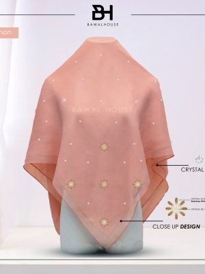 Bawal Rania Luxe BH18 (Light Salmon) New!