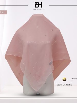 Delia Aurum BH23 (Classic Lilac)