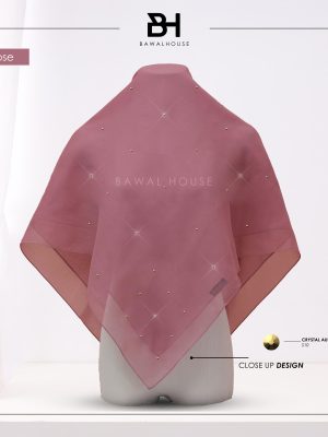 Delia Aurum BH28 (Musk Rose)