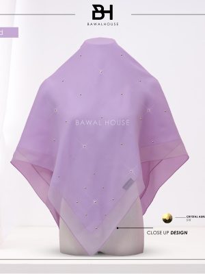 Delia Aurum BH34 (Orchid)