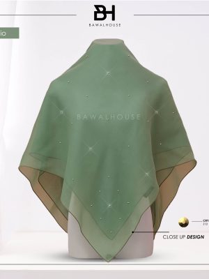Delia Aurum BH49 (Pistachio)