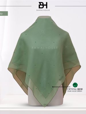 Delia Color BH49 (Pistachio)