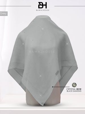 Delia Color BH54 (Platinum Grey)