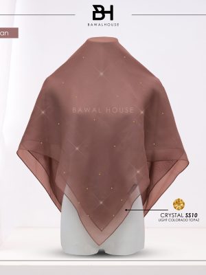 Delia Color BH13 (Russet Tan)